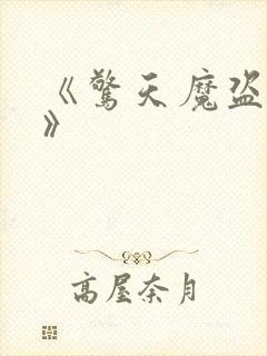 《惊天魔盗团2》封面