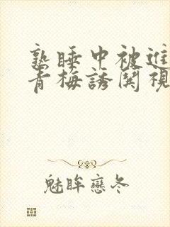 熟睡中被进了H青梅诱哄视频