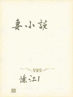 妻小说