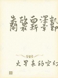 朱欣白泽凯笔趣阁最新章节封面