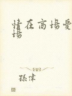 情在商场爱在官场