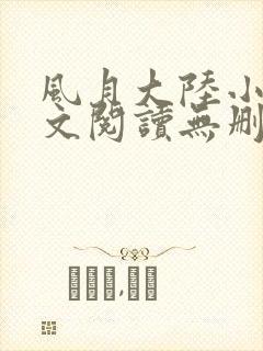 风月大陆小说全文阅读无删减封面