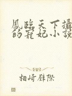 凤临天下摄政王的宠妃小说