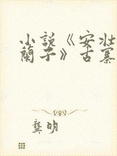 小说《安壮壮,兰子》古寨小说下载