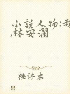 小说人物:赵青,林安澜封面