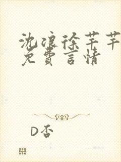 沈浪徐芊芊全文免费言情封面