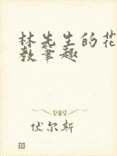 林先生的花式管教笔趣