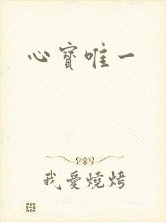 心宝唯一封面