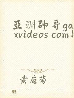 亚洲帅哥gay xvideos com网站