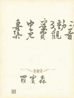 妻中蜜3动漫全集免费观看