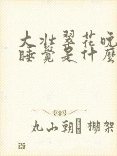 大壮翠花晚上不睡觉是什么电视剧