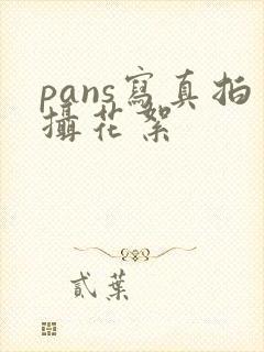 pans写真拍摄花絮