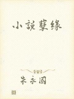 小说孽缘