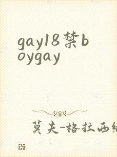 gay18禁boygay