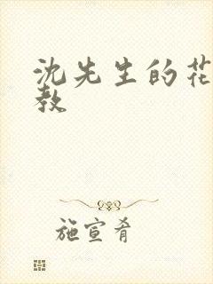 沈先生的花式管教