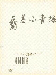 反差小青梅笔趣阁