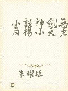 小说神剑无敌主角杨小天免费阅读