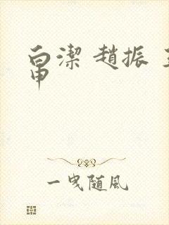 白洁 赵振 王申