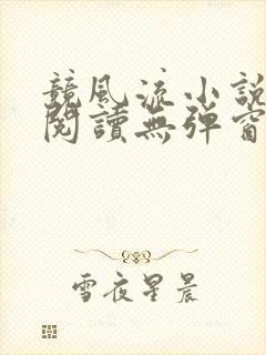 竞风流小说全文阅读无弹窗免费