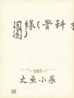 因缘(骨科 校园)