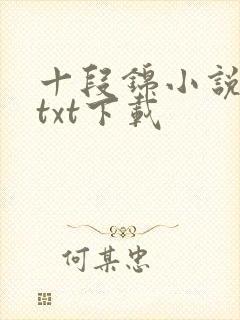 十段锦小说全本txt下载封面