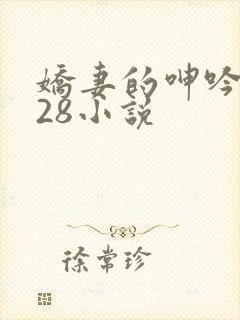 娇妻的呻吟1—28小说