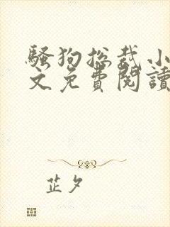 骚狗总裁小说全文免费阅读最新章节