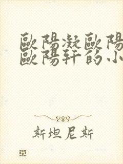 欧阳凝欧阳雷和欧阳轩的小说