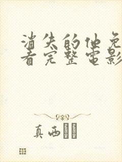 消失的他免费观看完整电影