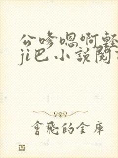 公嗲嗯啊轻点大ji巴小说阅读封面