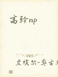 高干np