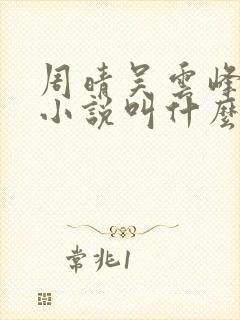 周晴吴云峰李磊小说叫什么名字