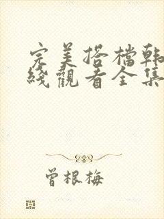 完美搭档韩剧在线观看全集