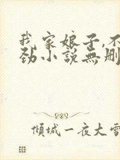 我家娘子,不对劲小说无删减版封面