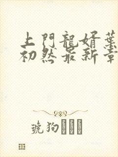 上门龙婿叶辰萧初然最新章节更新