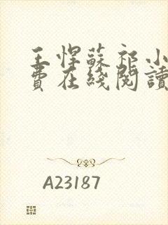 王悍苏祁小说免费在线阅读