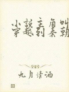 小说主角叫赵浪穿越到秦朝封面