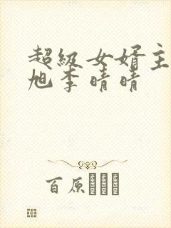 超级女婿主角赵旭李晴晴封面