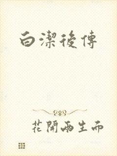 白洁后传