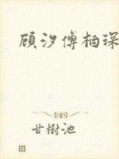 顾汐傅柏琛小说