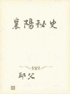 襄阳秘史