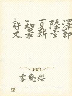 许知夏陆泽言全文最新章节免费阅读