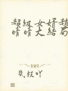 超级女婿赵旭李晴晴大结局封面