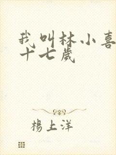 我叫林小喜今年十七岁