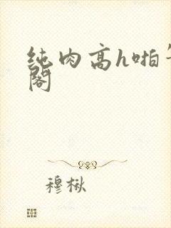 纯肉高h啪笔趣阁