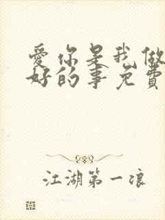 爱你是我做过最好的事免费全文阅读