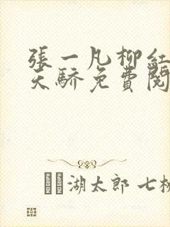 张一凡柳红官道天骄免费阅读笔趣阁