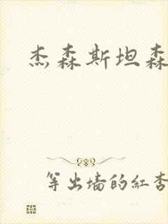 杰森斯坦森乱战