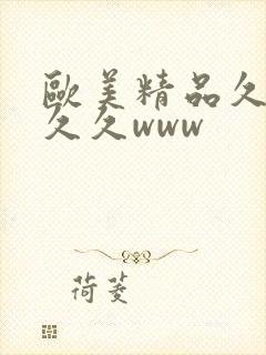 欧美精品久久久久久www