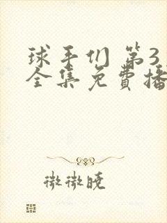 球手们 第3季全集免费播放在线观看